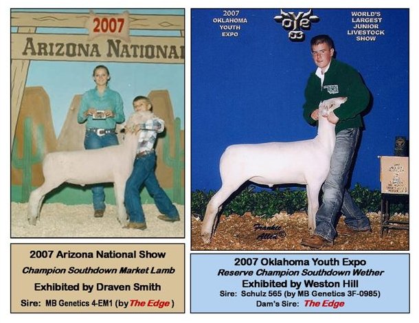 2007 AZ & OK wethers